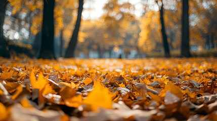 Orange fall leaves in park, autumn natural background. Generative ai