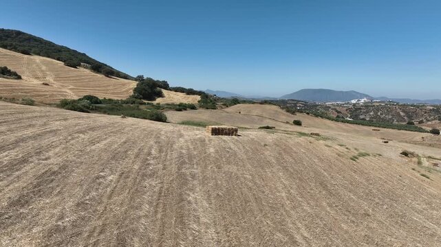 vista de un campo con fardo de paja en tierras de Andaluc&iacute;a