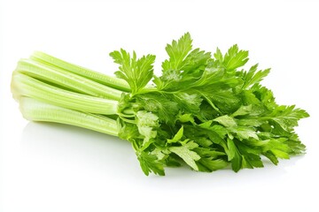 A fresh stalk of celery, vibrant green with crisp, textured leaves and long, slender stems, isolated against a pure white background, the celery showing subtle natural imperfections and moisture dropl
