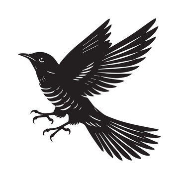 recommend clip art: Common Cuckoo silhouette, European Cuckoo Bird Clipart, Common Cuckoo flying Illustration in black and white
                    