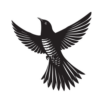 recommend clip art: Common Cuckoo silhouette, European Cuckoo Bird Clipart, Common Cuckoo flying upwardIllustration in black and white