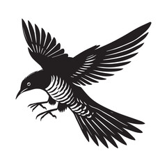 Obraz premium Common Cuckoo silhouette, European Cuckoo Bird Clipart, Common Cuckoo swooping down Illustration in black and white