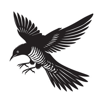 recommend clip art: Common Cuckoo silhouette, European Cuckoo Bird Clipart, Common Cuckoo swooping down Illustration in black and white