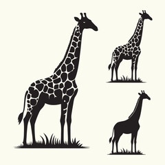 Animal giraffe silhouette vector illustration © Alivio Arts
