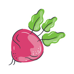 Beautifully designed icon of beetroot, healthy root vegetable