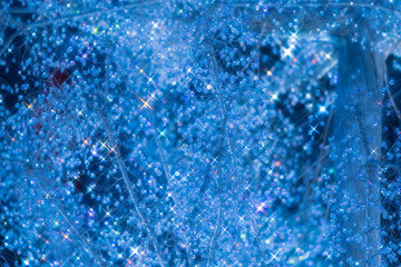 箱根のクリスマスのイルミネーション