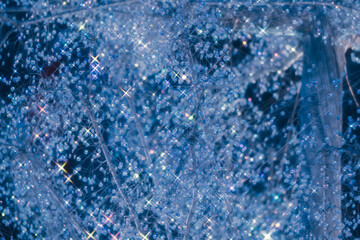 箱根のクリスマスのイルミネーション