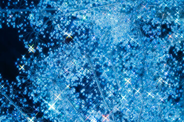 箱根のクリスマスのイルミネーション