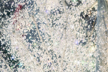 箱根のクリスマスのイルミネーション