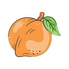 High quality icon of peach, delicious peach vector design, healthy food