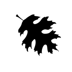 leaf silhouettes on the white background vector illustration