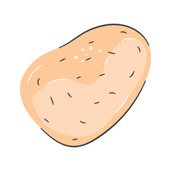 Beautifully designed potato vector, ready to use vector