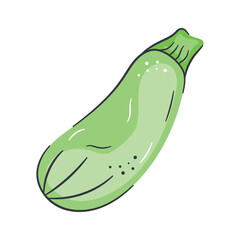 Green zucchini icon with a smooth surface, representing fresh vegetables