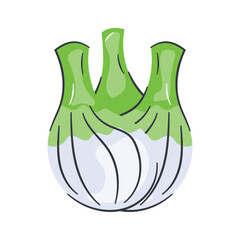 Fennel icon design, fresh organic ripe fennel, healthy food