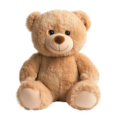 Obraz premium Teddy bear isolated.