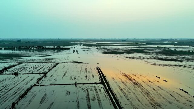 Flood in the river.sun setting.drone footage