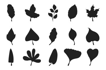Fototapeta premium Set of hand drawn leaves silhouettes isolated on white background.Beautiful doodle collection of leaves. 