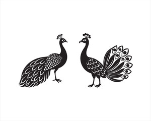 design a full view white Peacock in black and white, on white background