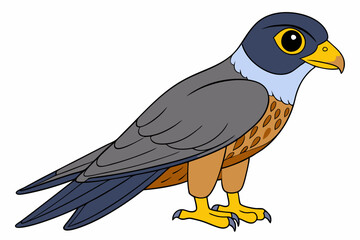 Eurasian Hobby Bird Vector Illustration Clipart