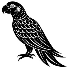 Parrot bird silhouette
