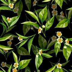 Seamless pattern with green tea leaves. Dark floral background.