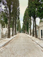 View of The Prazeres Cemetery, the largest cemetery in Lisbon, Portugal
