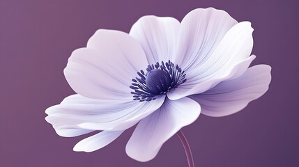 Delicate Anemone Blossom in Stylized Vector Art on Plum Background with Clean, Crisp Effect - Close-up Front-view Shot