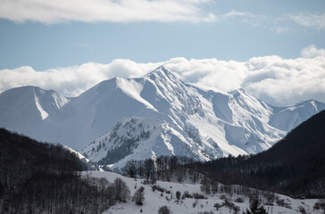 mountains in the snow