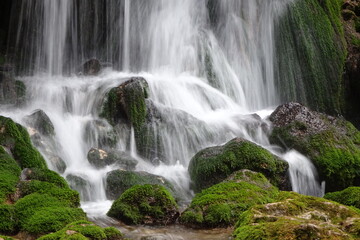 Fototapeta premium waterfall in the forest