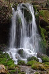 waterfall in the forest
