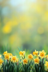 Obraz premium Vibrant Spring Flowers with Blurred Background