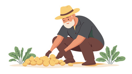 elderly man harvesting potatoes, vector illustration in a flat cartoon design, white background. activity lifestyle concept. Growing fresh vegetables at home. Homegrown food. Senior man gardening.