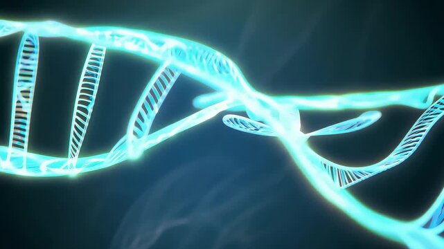 3D Rendered Illustration of DNA