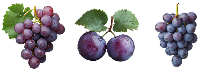Fresh Purple Grapes with Leaves on Transparent Background for Natural Fruit Designs and Healthy Food Illustrations