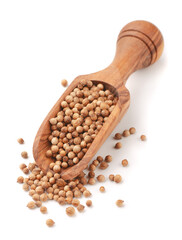 Coriander seeds in wooden scoop