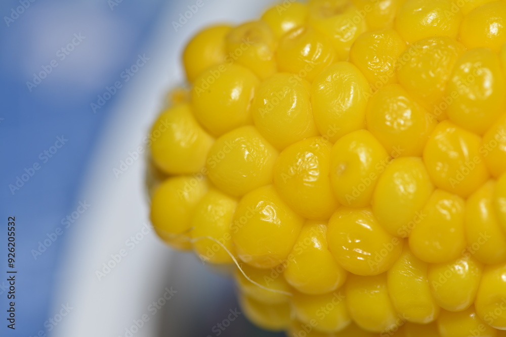 Wall mural golden grains: a macro exploration of corn and cob