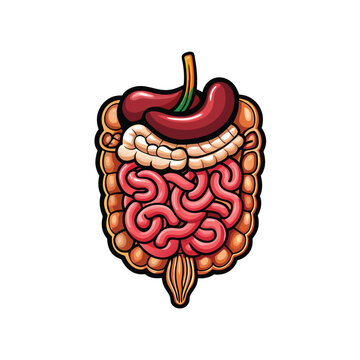 recommend clip art: Illustration of a human digestive system in a cartoon style.