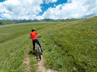 Fototapeta premium Aerial view of riding mountain bike on flowering grassland mountain