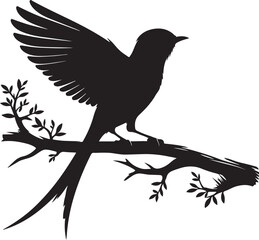 Black Drongo vecto silhouette art-01