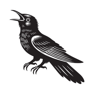 recommend clip art: Yellow-billed Cuckoo silhouette, Cuckoo Bird Clipart, Yellow-billed Cuckoo calling Illustration in black and white