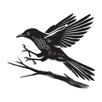 recommend clip art: Yellow-billed Cuckoo silhouette, Cuckoo Bird Clipart,  Yellow-billed Cuckoo caught in mid-hop Illustration in black and white
