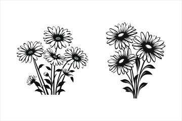 Daisy Flower Silhouette, Cute Daisy Flowers Clipart on white background.