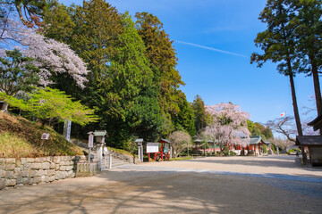 Naklejka premium 宮城県塩竈市 春の志波彦神社 境内