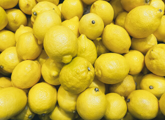 Lemons. Fresh organic yellow lemons abstract background. Pile of lemons ready for Juicing