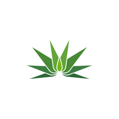 aloe vera plant logo icon vector symbol