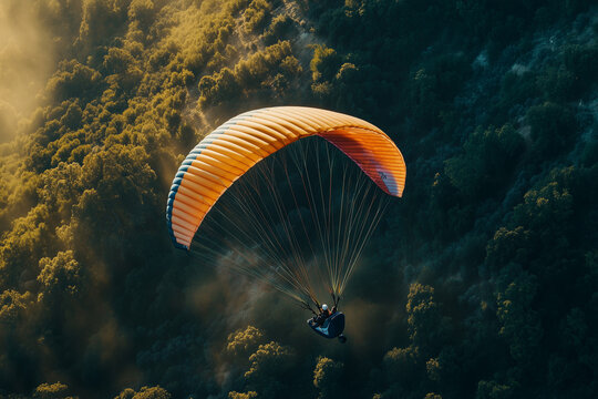 Paragliding on the forest with tiny bush, Aerial view paraglider with parachute on the top of mountain.	
