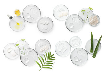 Petri dishes with cosmetic products and plant isolated on white, top view. Set