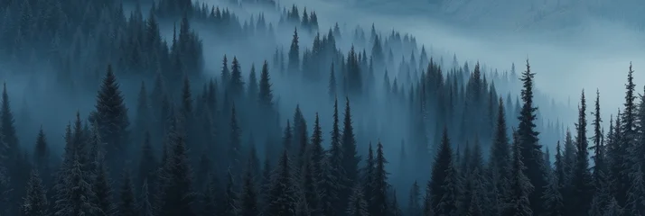 Poster Misty forest. Foggy mountains. Misty spruce landscape banner
