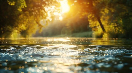 Fototapeta premium Sunlight Glimmering on a River