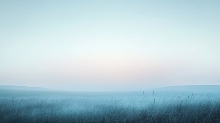 Fototapeta premium Foggy Meadow Landscape with Silhouetted Grass